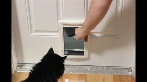 how do you put cat door in metal house door|easy install cat door.